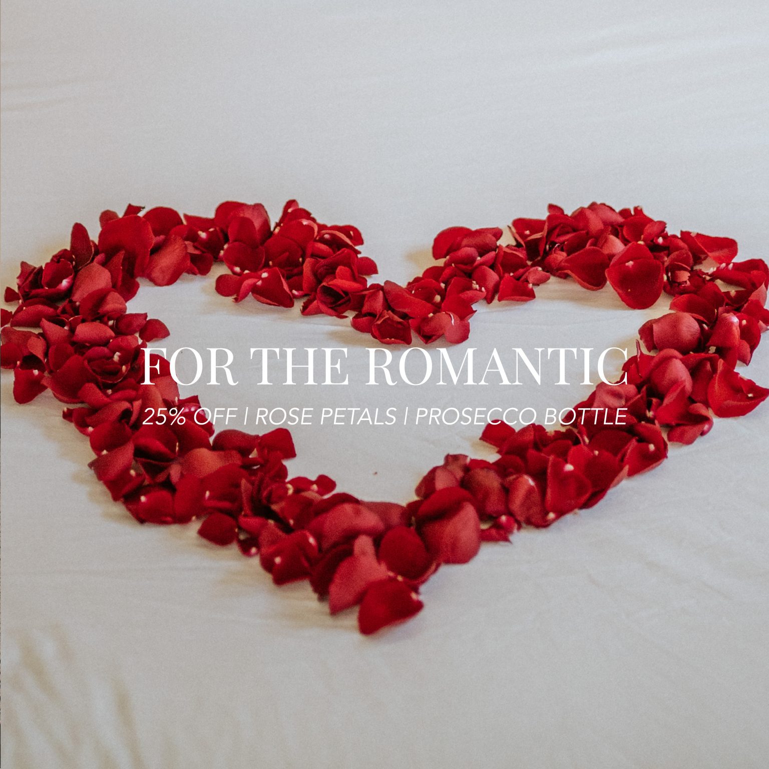 OLIVE OFFERS POPUP-02